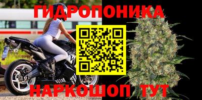 СК Мариинск