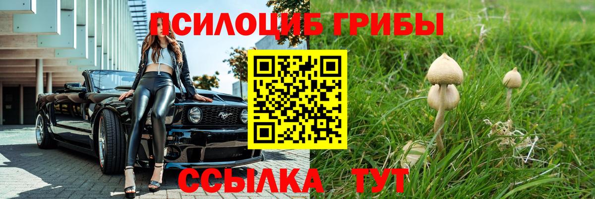 ГАШ Воронеж