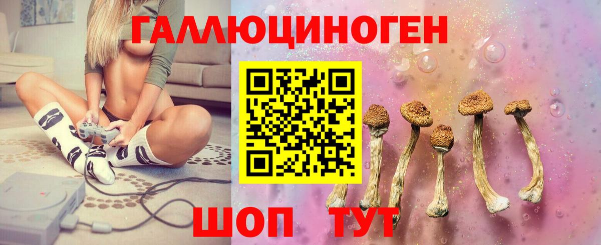 Псилоцибиновые грибы Psilocybine cubensis Воронеж